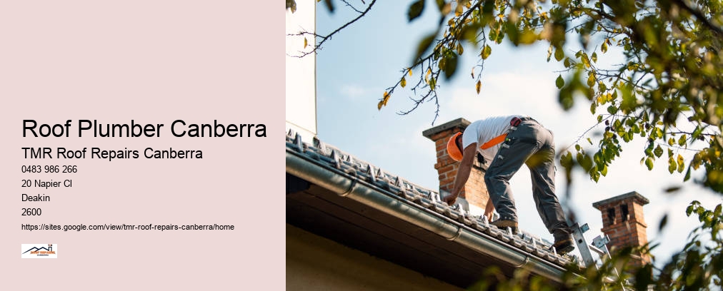 Tile Roof Repairs Canberra